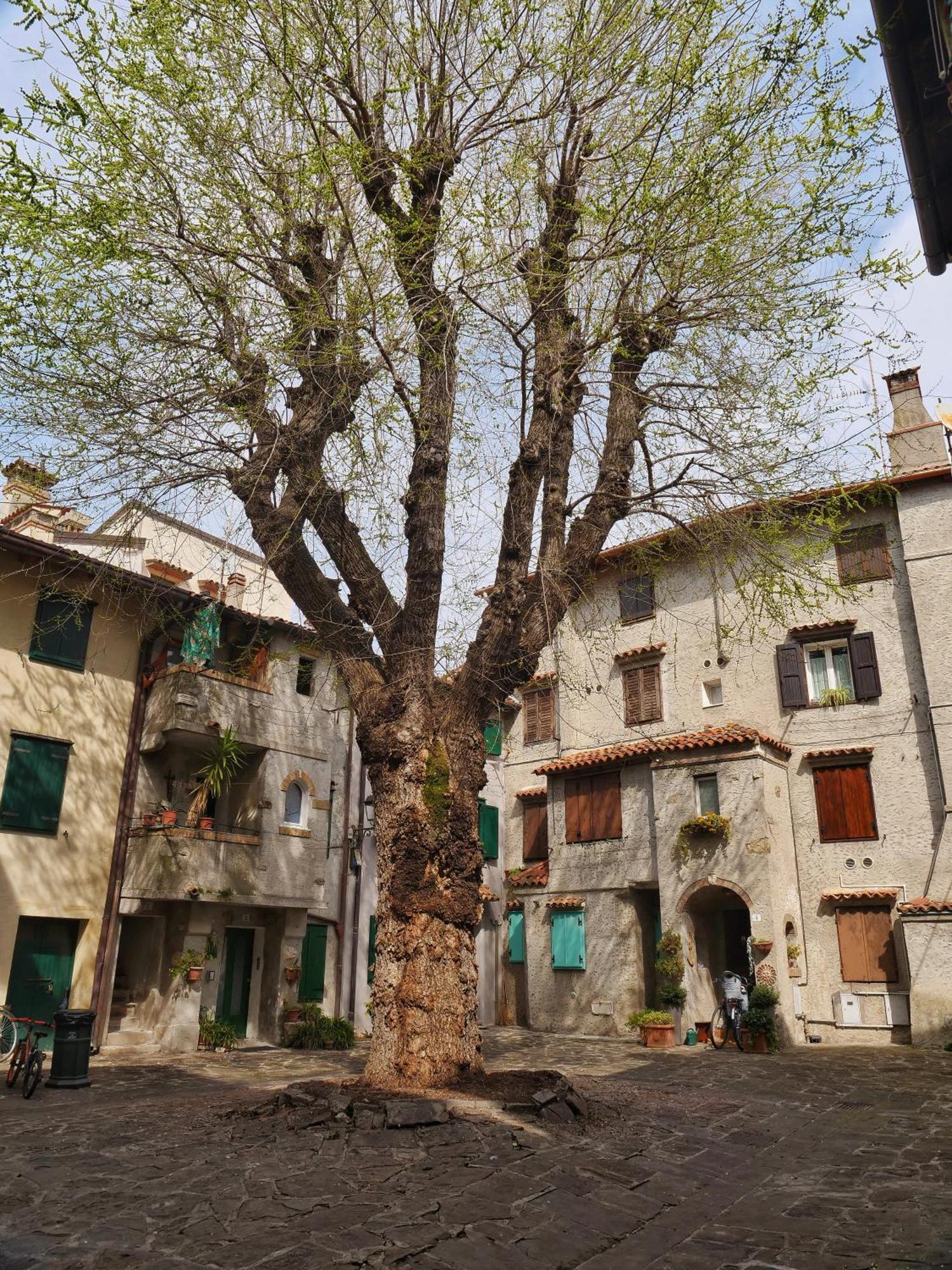 Casa Vianella - Romantico Monolocale Per Vivere Come Una Volta Градо Екстер'єр фото